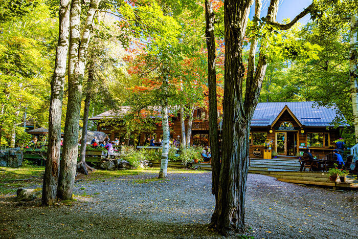 Cabin in the trees at Madawaska Kanu Centre