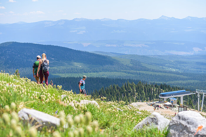 Hiking on hillside at Big White Ski Resort in Summer