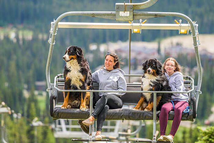 Two females and two dogs on chairlift