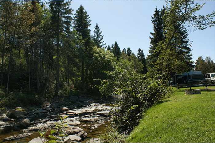 Gilbert River flowing through trees by campsite