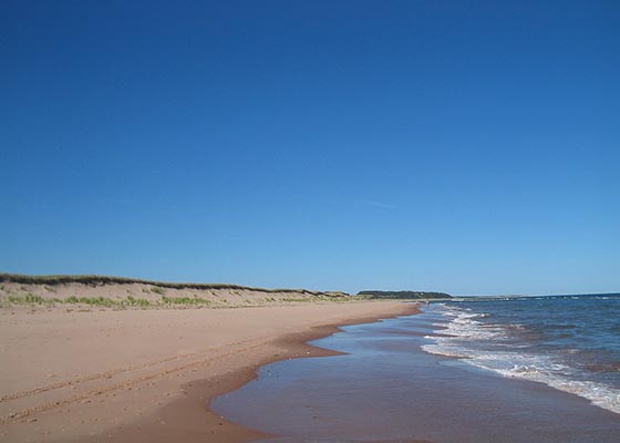 Sandy beach with ocean and blue sky