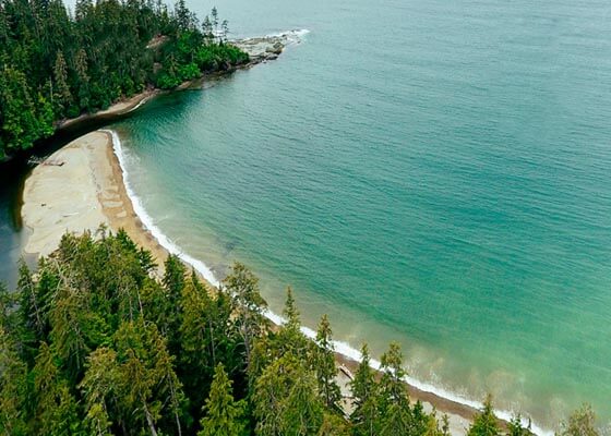 Seashore and beach lined with trees at Haida Gwaii