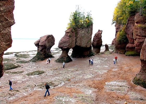 Rock formations at low tide in New Brunswick