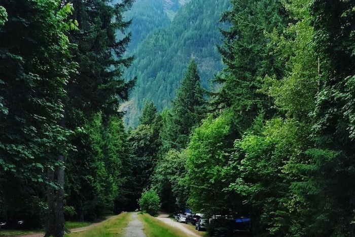 Dirt road through lush green trees at campground