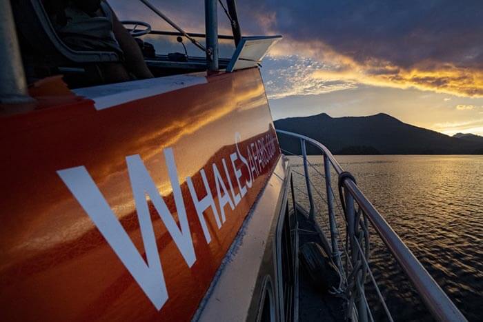 Whale boat at sunset