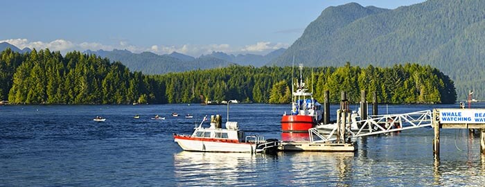 Boats in the Harbour Tofino BC