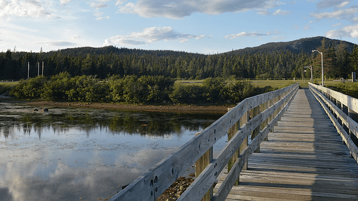 Terra_Nova_National_Park_-_Newfoundland - Photo Ryan Hodnett