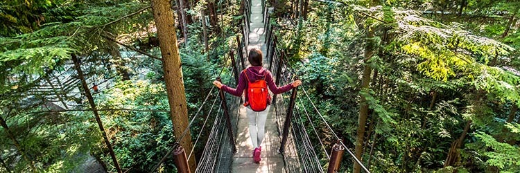 Man on Capilano Suspension Bridge