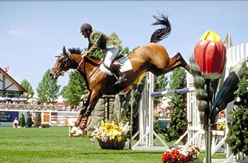 Horse jumping an obstacle at Spruce Meadows