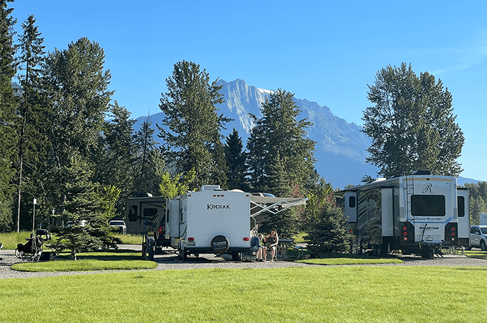 RVs camped amongst trees with mountain in background