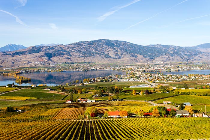 Overlooking Vineyards in the Okanagan Valley