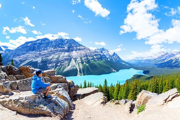 Man sitting on rock overlooking Peyto Lake in Alberta