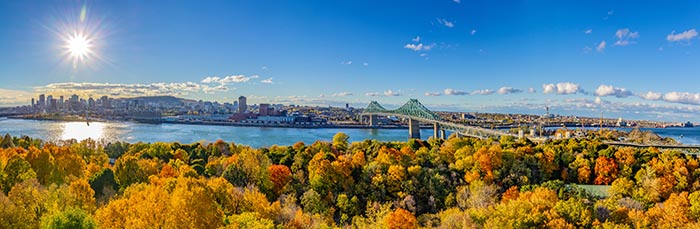 Overlooking the City of Montreal in Fall