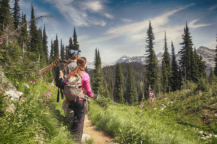 Hiking trail at Revelstoke