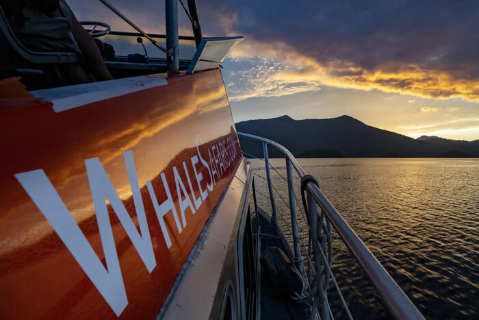Whale watching boat at sunset