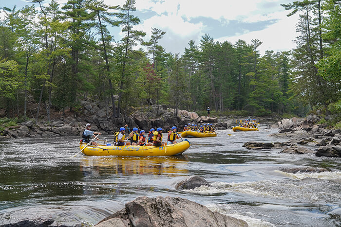 Three yellow rafts on a river