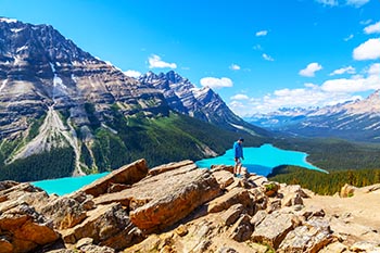 Lone hikder overlooking the turquoise waters of Peyto Lake in Banff National Park