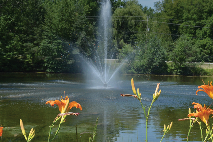 our-ponderosa-resort.jpg our-ponderosa-resort.jpg