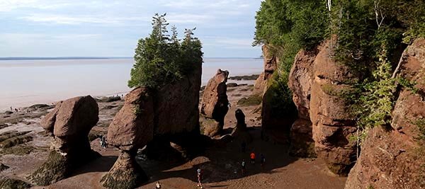 bay-of-fundy-Newsletter-Banner-(1).jpg