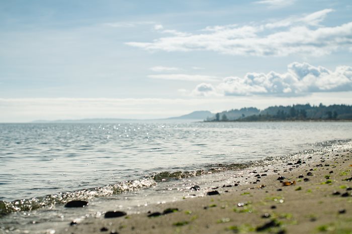 Oceanside-1.jpg Oceanside-1.jpg