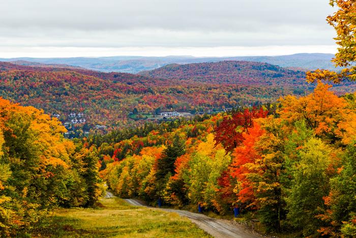 shutterstock_395667178-fall.jpg shutterstock_395667178-fall.jpg