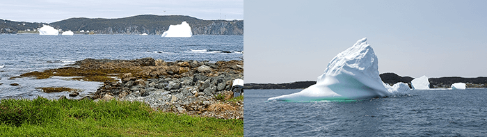 icebergs-twillingate.png