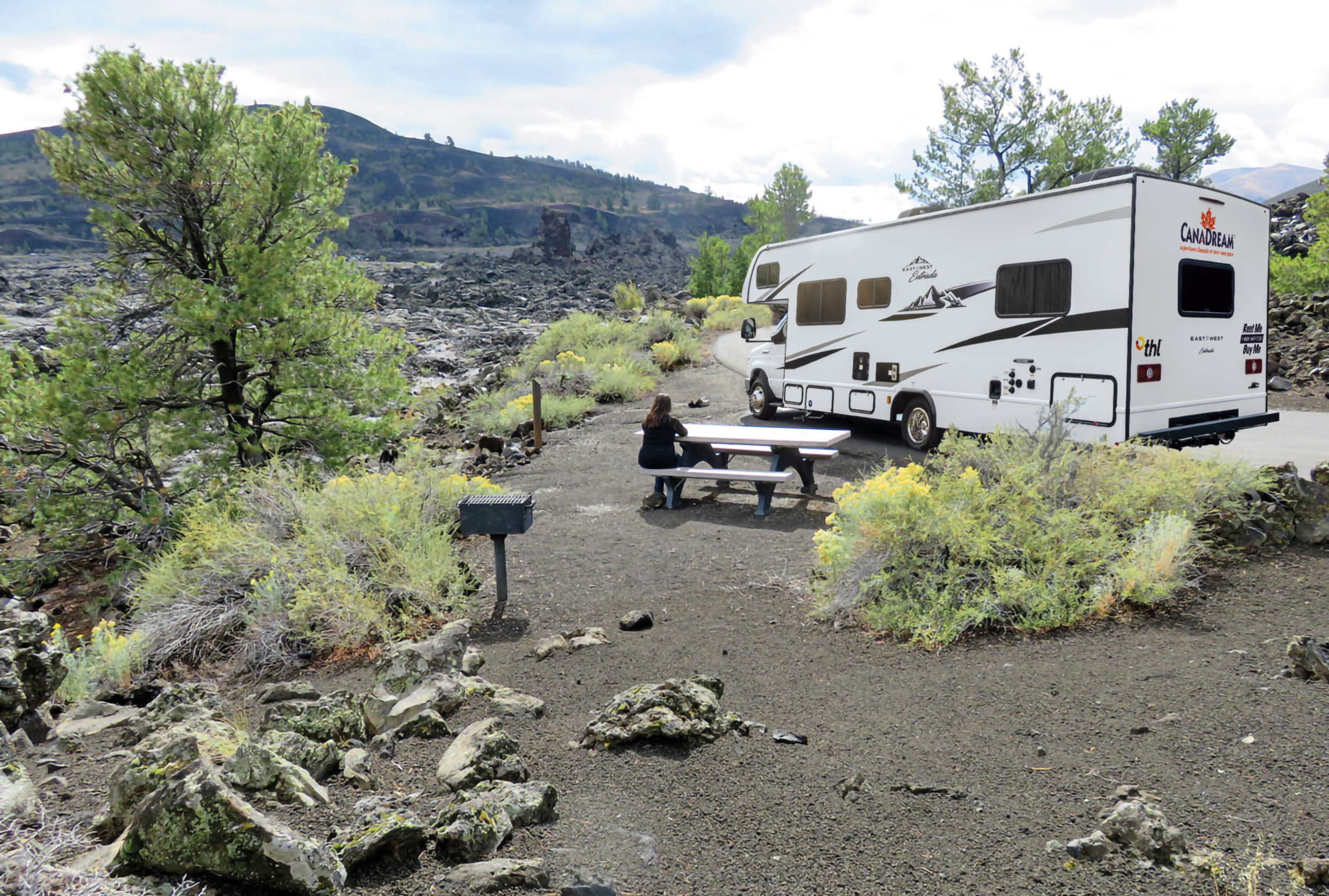 trees in campground